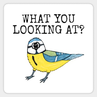 What You Looking At? Blue Tit Bird Watcher Funny Magnet